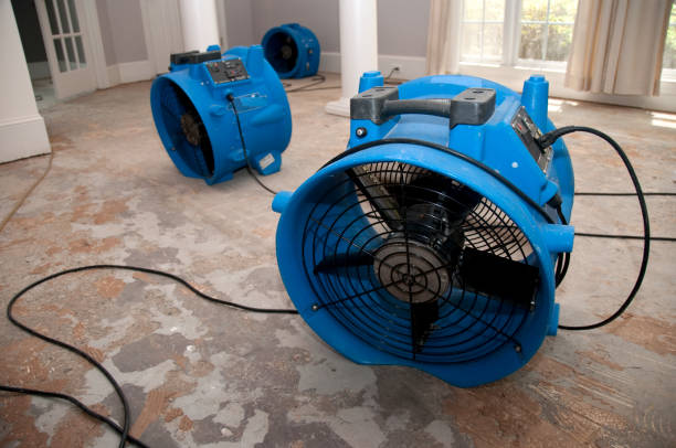 Best Water damage restoration near me  in Gibsonville, NC