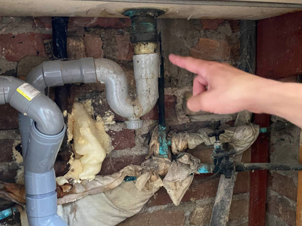 Best Professional water damage repair  in Gibsonville, NC